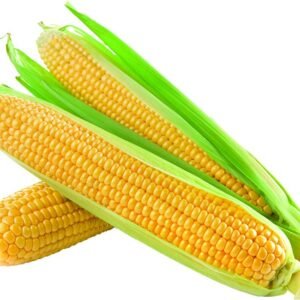 Corn